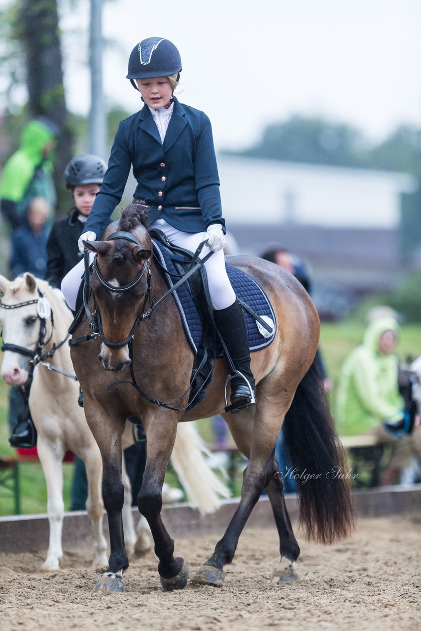 Bild 5 - Pony Akademie Turnier